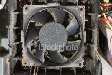 ist2_711771_fluffy_fan.jpg