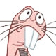 Avatar de Usuario